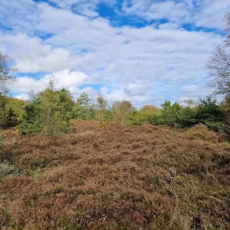 6 Person In Hadsund-by Traum Hadsund