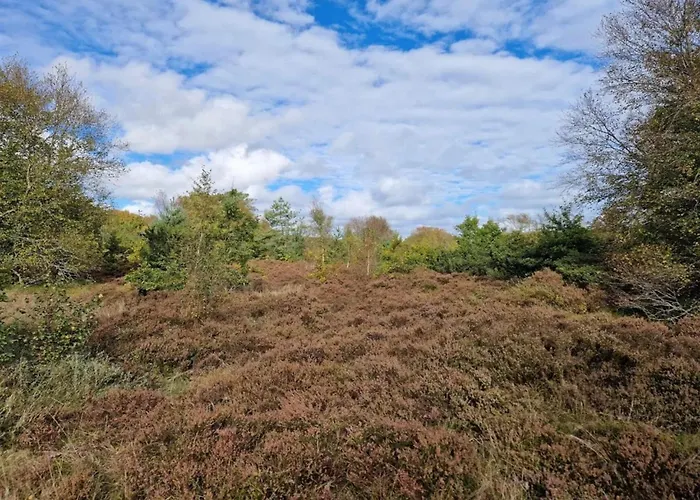 6 Person In Hadsund-by Traum Hadsund